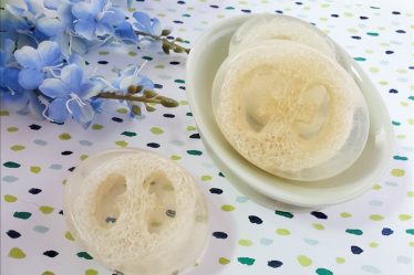 Homemade Loofah Soap