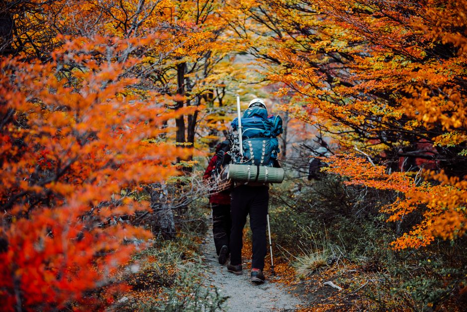 A group of hikers enjoying a colorful autumn trek in El Chalten, Argentina.